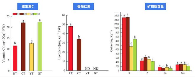 “天选减肥果”竟是它！低卡高纤还美味，多吃不怕胖
